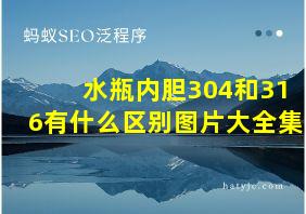 水瓶内胆304和316有什么区别图片大全集