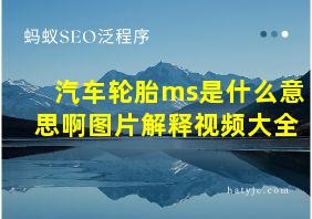 汽车轮胎ms是什么意思啊图片解释视频大全