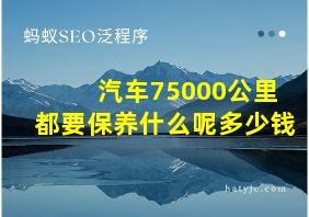 汽车75000公里都要保养什么呢多少钱