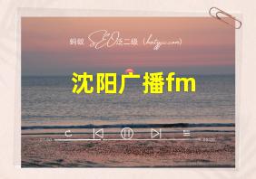 沈阳广播fm