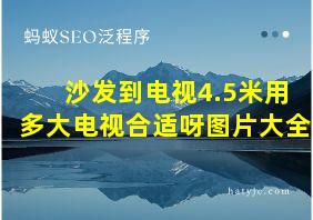 沙发到电视4.5米用多大电视合适呀图片大全