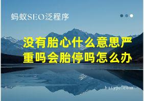 没有胎心什么意思严重吗会胎停吗怎么办