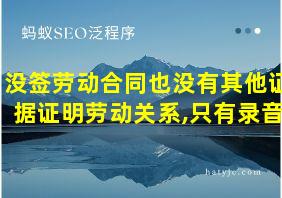 没签劳动合同也没有其他证据证明劳动关系,只有录音