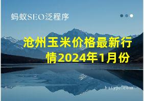 沧州玉米价格最新行情2024年1月份