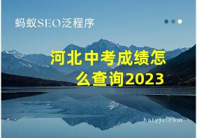 河北中考成绩怎么查询2023