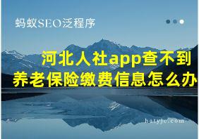 河北人社app查不到养老保险缴费信息怎么办