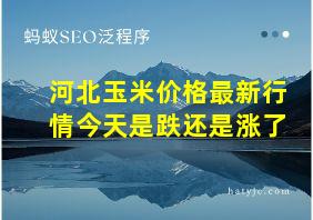 河北玉米价格最新行情今天是跌还是涨了