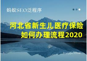 河北省新生儿医疗保险如何办理流程2020