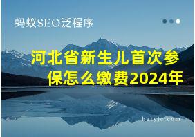 河北省新生儿首次参保怎么缴费2024年