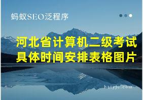 河北省计算机二级考试具体时间安排表格图片