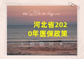 河北省2020年医保政策