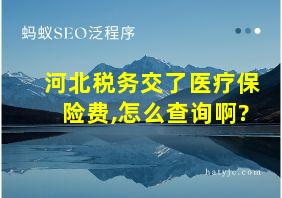 河北税务交了医疗保险费,怎么查询啊?