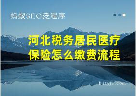 河北税务居民医疗保险怎么缴费流程