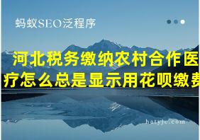 河北税务缴纳农村合作医疗怎么总是显示用花呗缴费