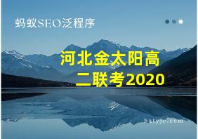 河北金太阳高二联考2020