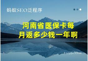 河南省医保卡每月返多少钱一年啊