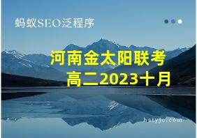 河南金太阳联考高二2023十月