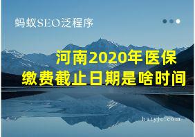 河南2020年医保缴费截止日期是啥时间