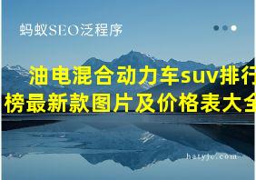 油电混合动力车suv排行榜最新款图片及价格表大全