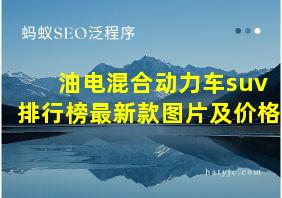 油电混合动力车suv排行榜最新款图片及价格