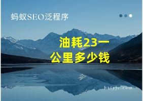 油耗23一公里多少钱