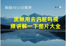 泥鳅用去内脏吗视频讲解一下图片大全