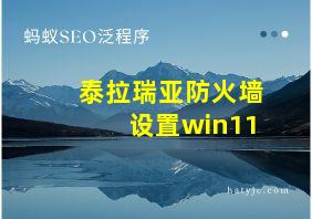 泰拉瑞亚防火墙设置win11