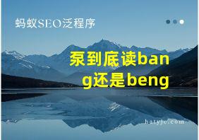 泵到底读bang还是beng