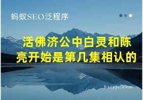 活佛济公中白灵和陈亮开始是第几集相认的