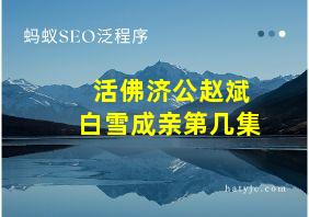 活佛济公赵斌白雪成亲第几集