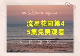 流星花园第45集免费观看