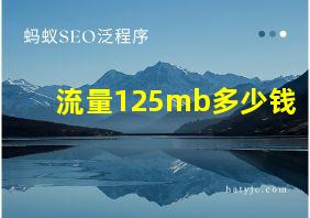 流量125mb多少钱