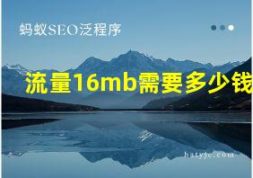 流量16mb需要多少钱