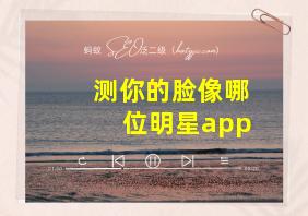 测你的脸像哪位明星app