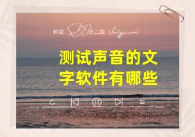 测试声音的文字软件有哪些