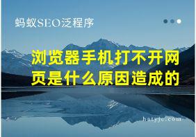 浏览器手机打不开网页是什么原因造成的