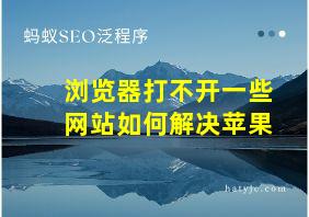 浏览器打不开一些网站如何解决苹果