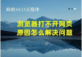 浏览器打不开网页原因怎么解决问题