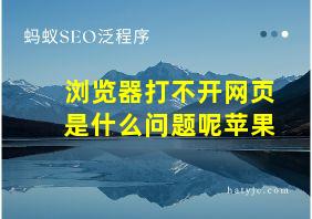 浏览器打不开网页是什么问题呢苹果