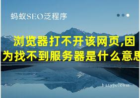 浏览器打不开该网页,因为找不到服务器是什么意思