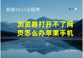 浏览器打开不了网页怎么办苹果手机