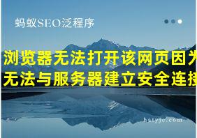 浏览器无法打开该网页因为无法与服务器建立安全连接