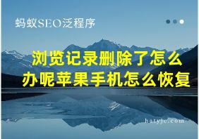 浏览记录删除了怎么办呢苹果手机怎么恢复