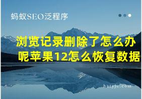 浏览记录删除了怎么办呢苹果12怎么恢复数据