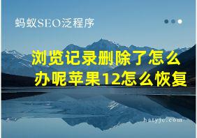 浏览记录删除了怎么办呢苹果12怎么恢复