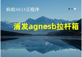 浦发agnesb拉杆箱