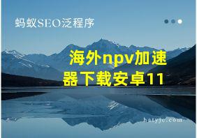 海外npv加速器下载安卓11