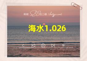 海水1.026