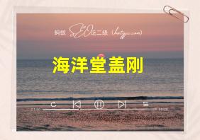 海洋堂盖刚