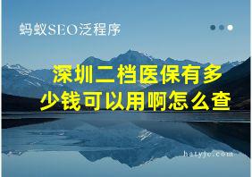 深圳二档医保有多少钱可以用啊怎么查